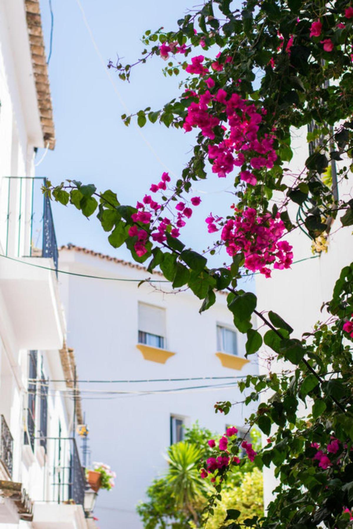Superior 3Br Golfla Apartment Minutes From Puerto Banus & Marbella Μάλαγα Εξωτερικό φωτογραφία